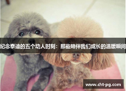 纪念泰迪的五个动人时刻：那些陪伴我们成长的温暖瞬间