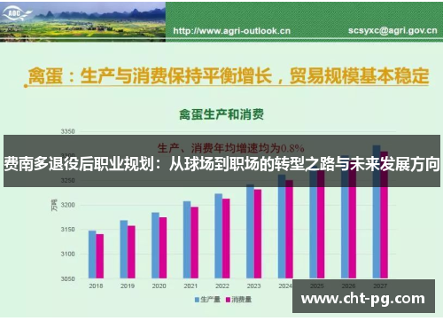 费南多退役后职业规划：从球场到职场的转型之路与未来发展方向