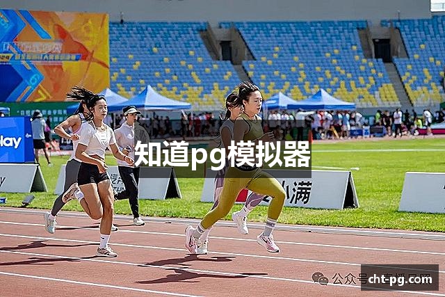 知道pg模拟器